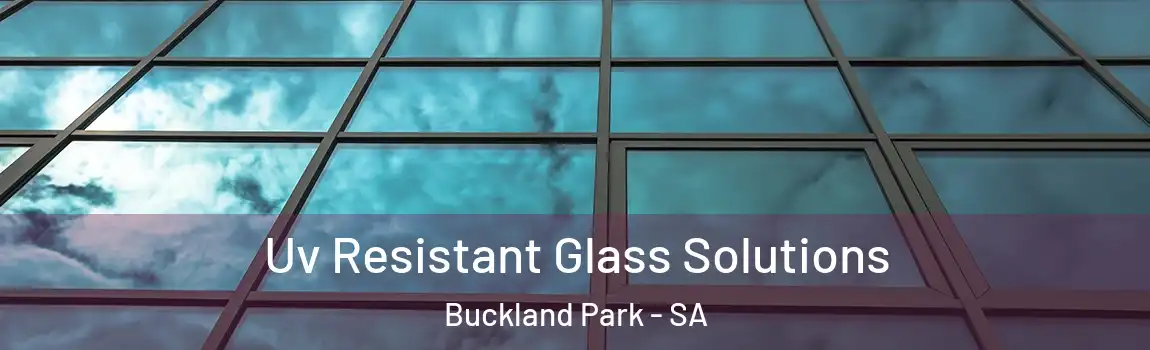  Uv Resistant Glass Solutions Buckland Park - SA