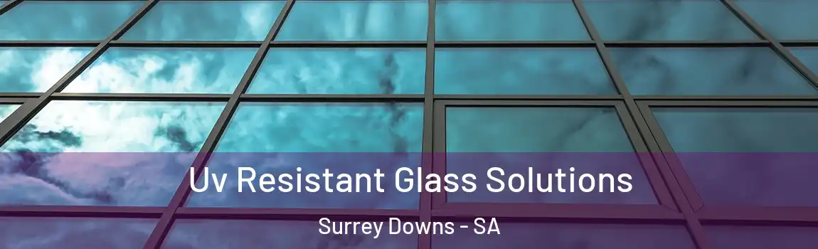 Uv Resistant Glass Solutions Surrey Downs - SA