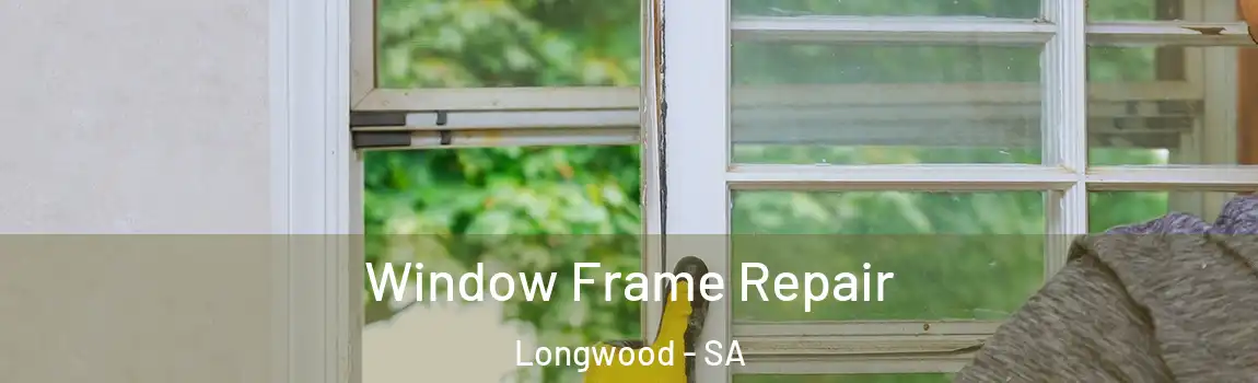 Window Frame Repair Longwood - SA