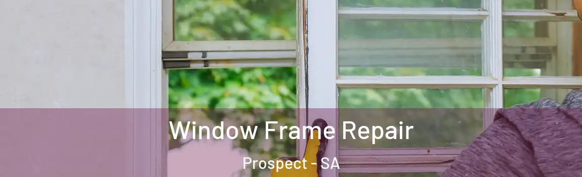  Window Frame Repair Prospect - SA