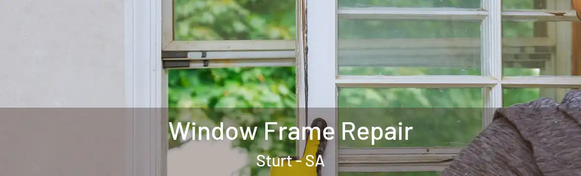 Window Frame Repair Sturt - SA