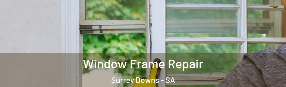  Window Frame Repair Surrey Downs - SA