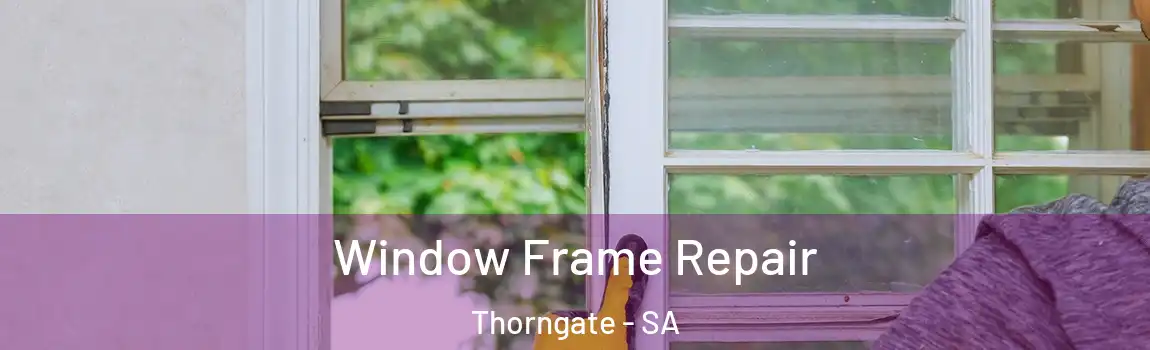 Window Frame Repair Thorngate - SA