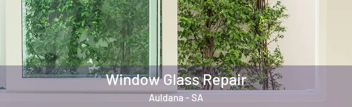 Window Glass Repair Auldana - SA