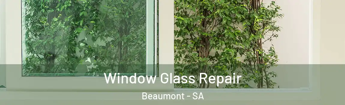 Window Glass Repair Beaumont - SA