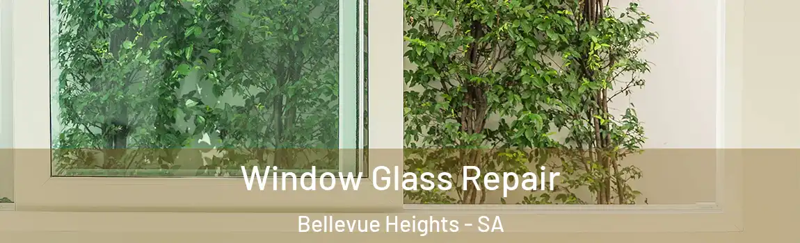 Window Glass Repair Bellevue Heights - SA