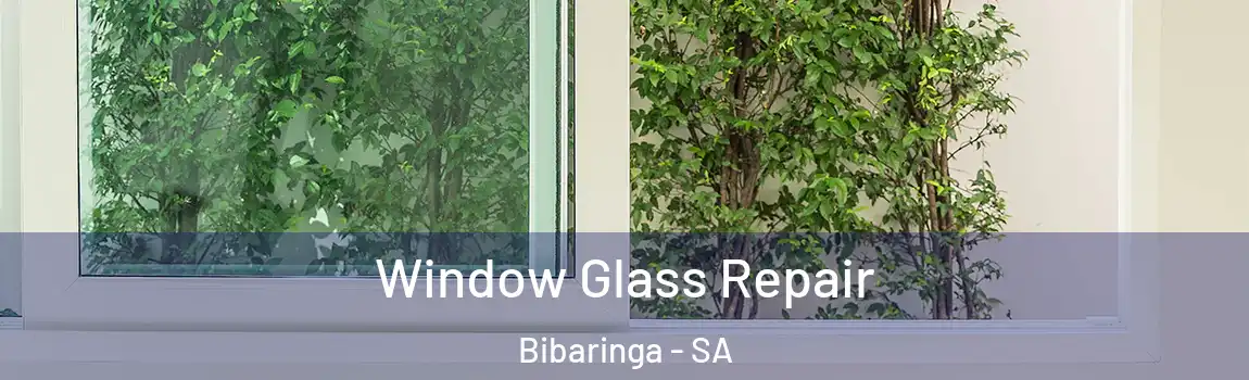 Window Glass Repair Bibaringa - SA