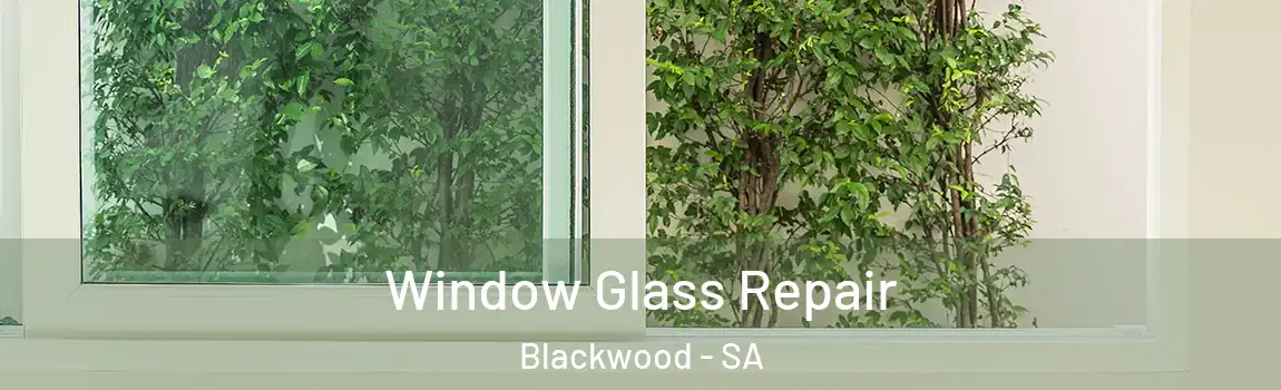 Window Glass Repair Blackwood - SA