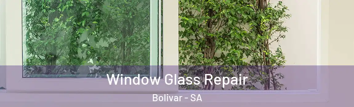 Window Glass Repair Bolivar - SA
