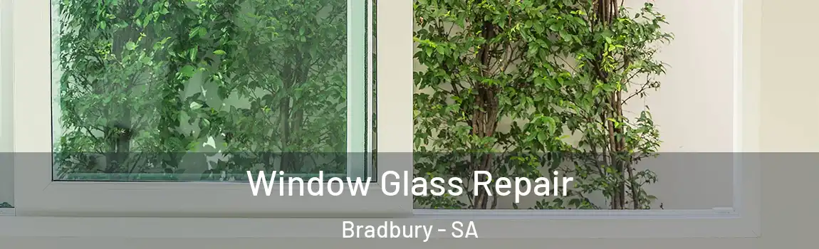 Window Glass Repair Bradbury - SA
