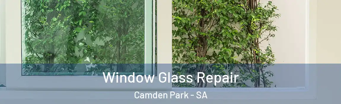 Window Glass Repair Camden Park - SA