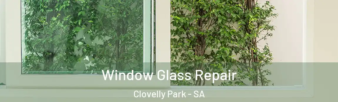Window Glass Repair Clovelly Park - SA