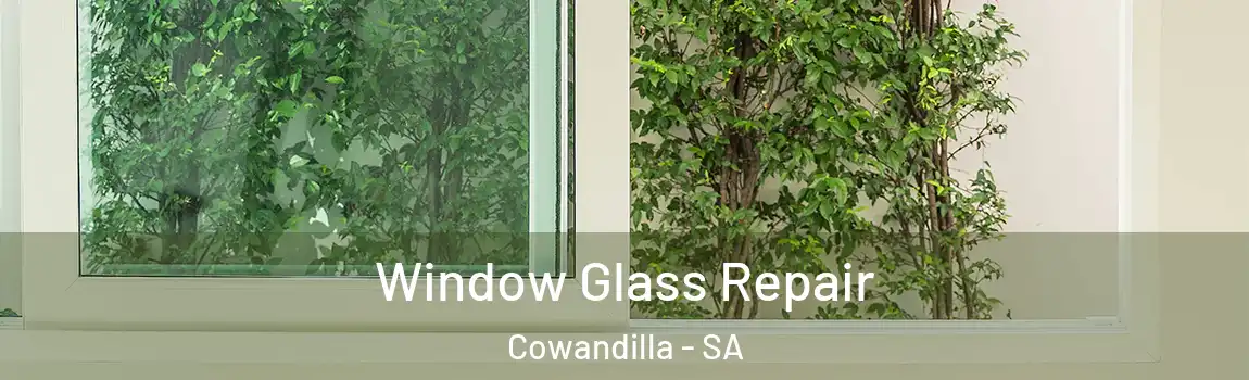 Window Glass Repair Cowandilla - SA