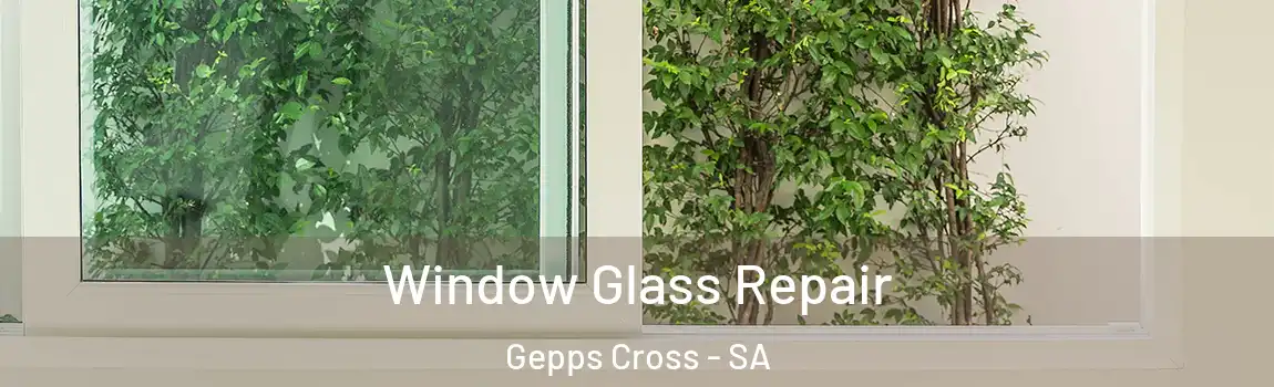 Window Glass Repair Gepps Cross - SA