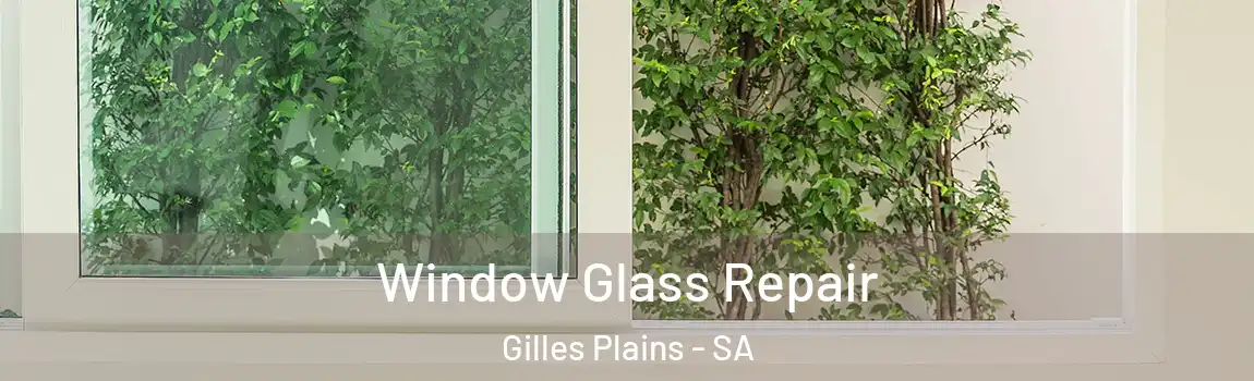 Window Glass Repair Gilles Plains - SA