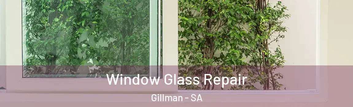 Window Glass Repair Gillman - SA