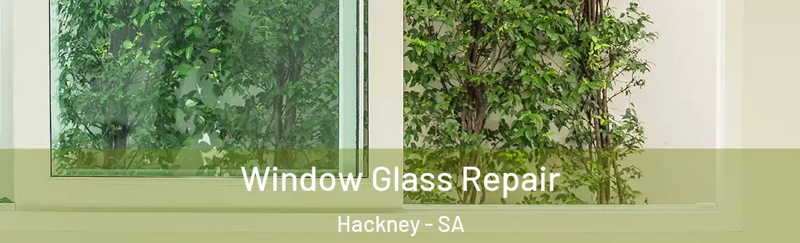 Window Glass Repair Hackney - SA