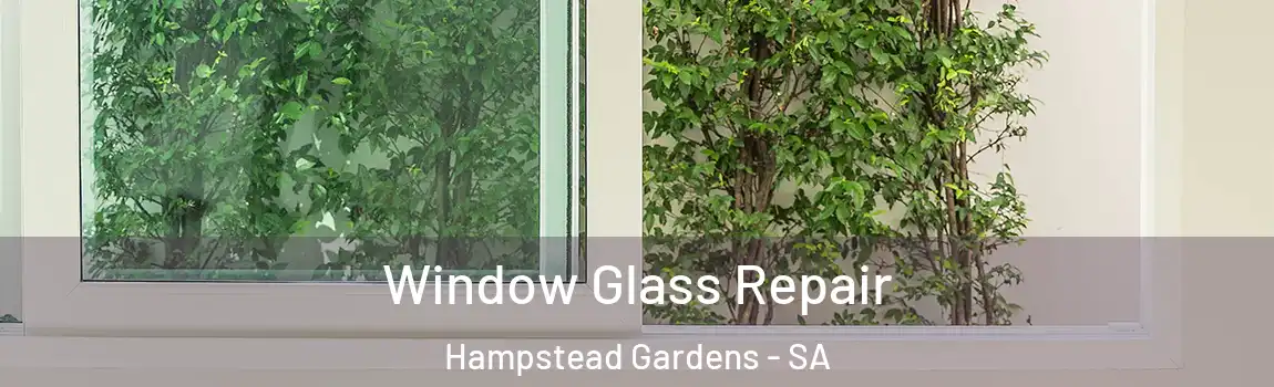 Window Glass Repair Hampstead Gardens - SA