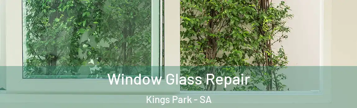Window Glass Repair Kings Park - SA