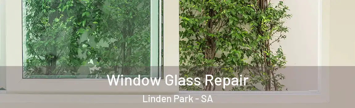 Window Glass Repair Linden Park - SA