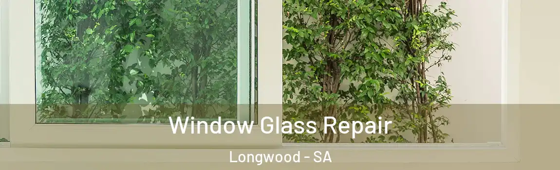Window Glass Repair Longwood - SA