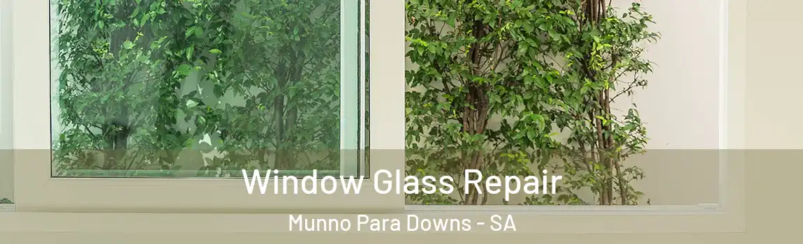 Window Glass Repair Munno Para Downs - SA
