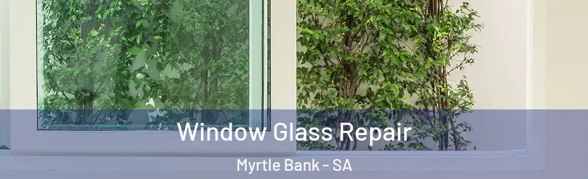 Window Glass Repair Myrtle Bank - SA