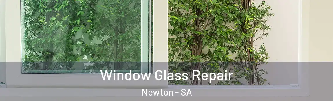 Window Glass Repair Newton - SA