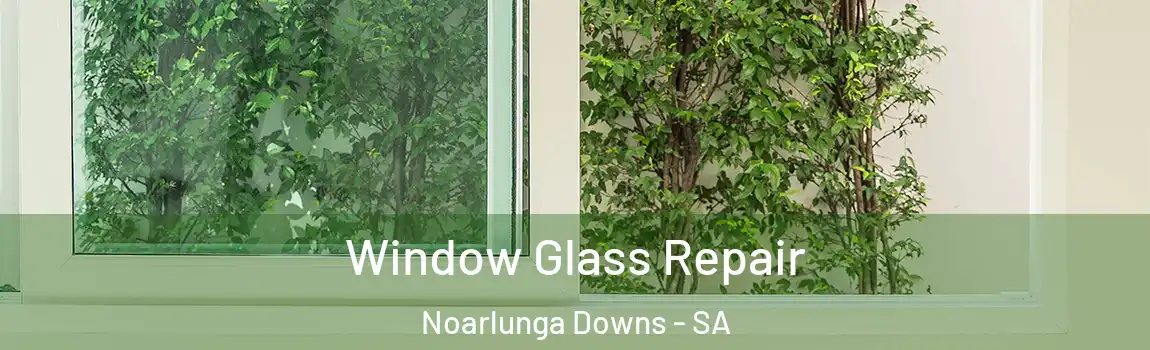  Window Glass Repair Noarlunga Downs - SA
