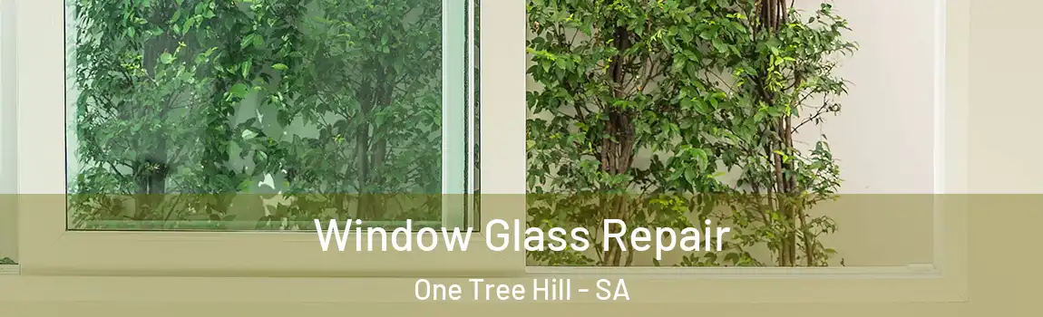 Window Glass Repair One Tree Hill - SA