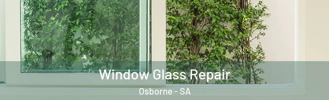 Window Glass Repair Osborne - SA