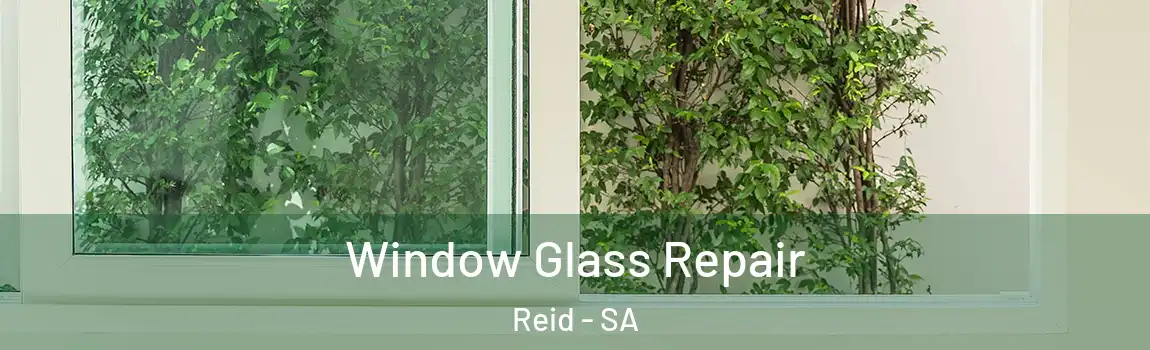 Window Glass Repair Reid - SA