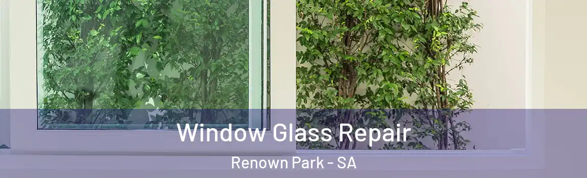 Window Glass Repair Renown Park - SA