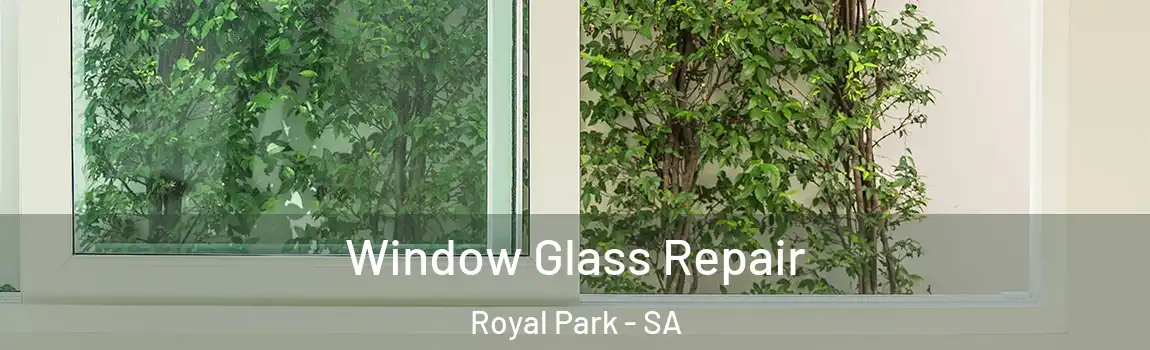 Window Glass Repair Royal Park - SA