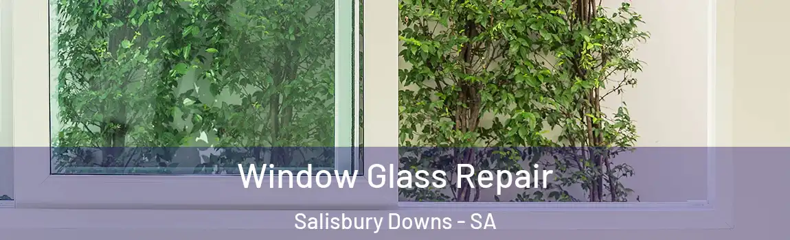 Window Glass Repair Salisbury Downs - SA