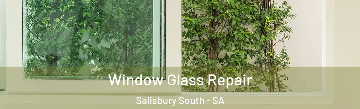 Window Glass Repair Salisbury South - SA