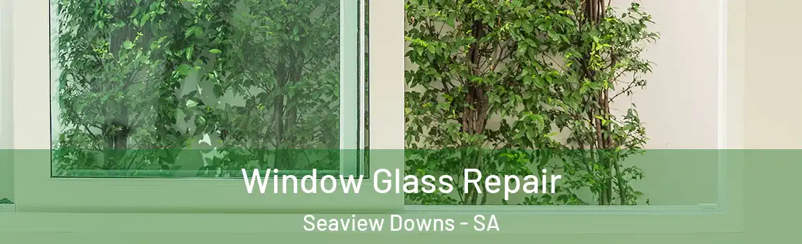  Window Glass Repair Seaview Downs - SA