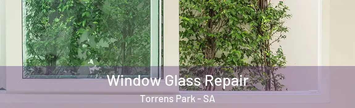 Window Glass Repair Torrens Park - SA