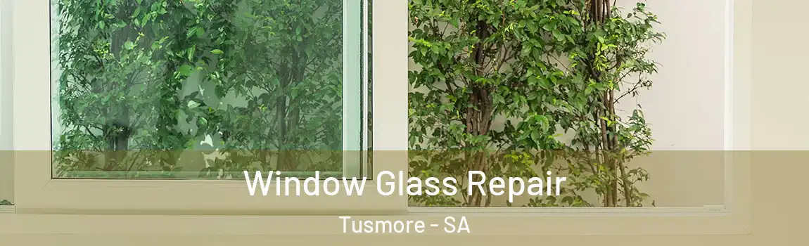 Window Glass Repair Tusmore - SA