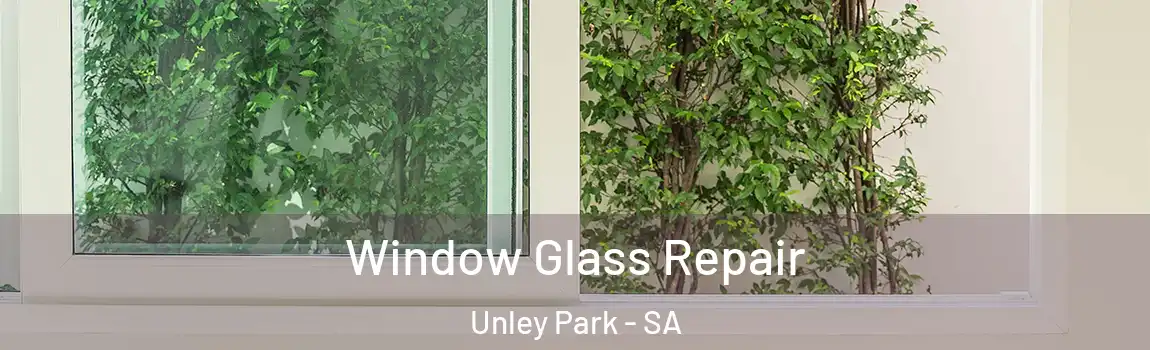 Window Glass Repair Unley Park - SA