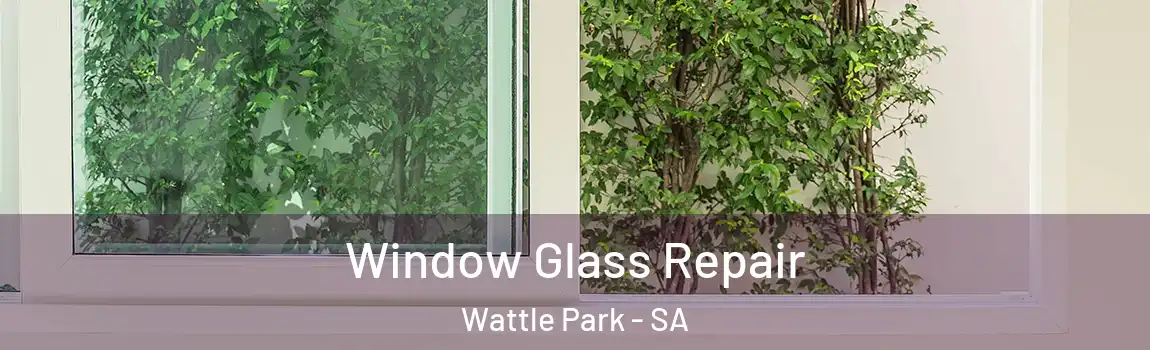 Window Glass Repair Wattle Park - SA