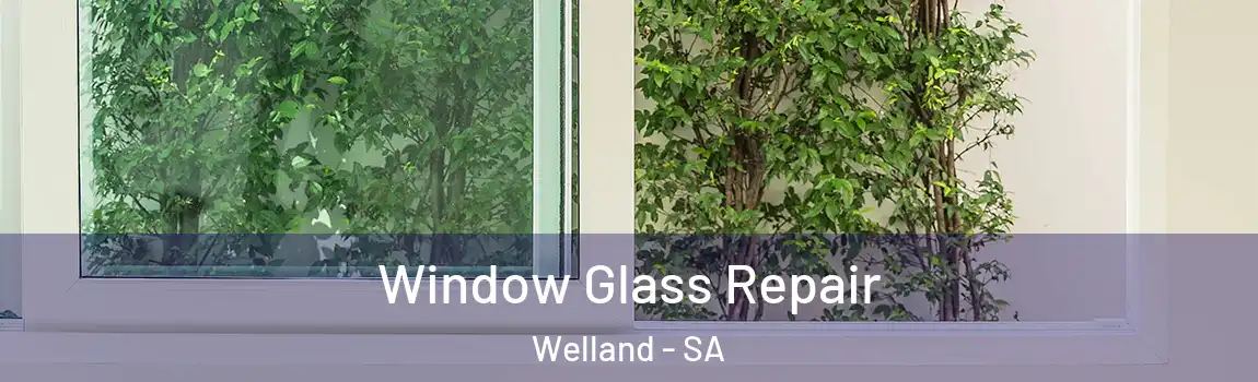 Window Glass Repair Welland - SA