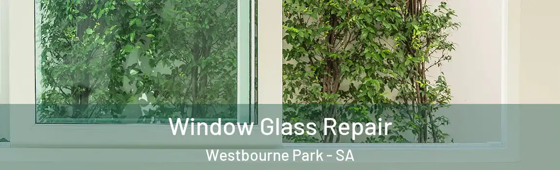Window Glass Repair Westbourne Park - SA