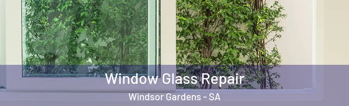 Window Glass Repair Windsor Gardens - SA
