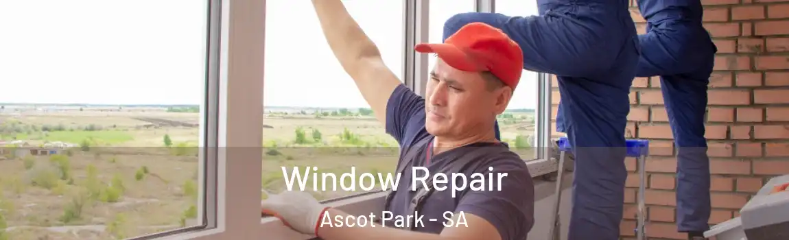 Window Repair Ascot Park - SA