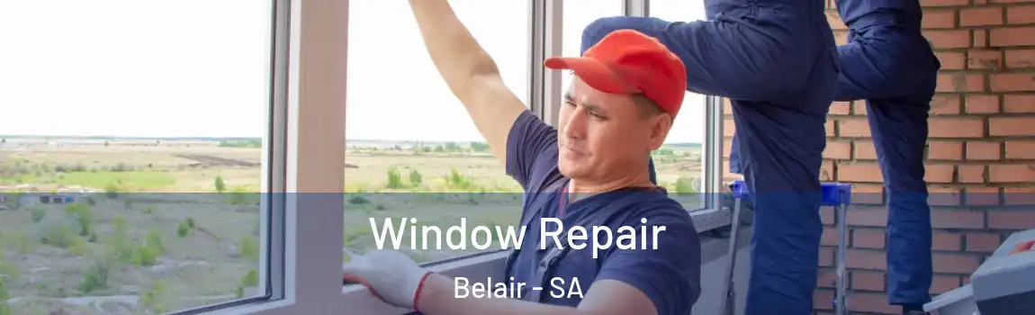 Window Repair Belair - SA