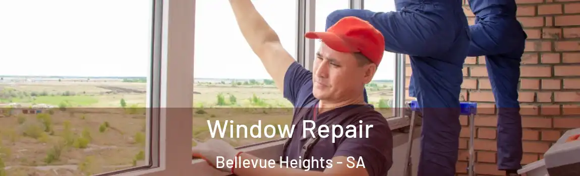 Window Repair Bellevue Heights - SA