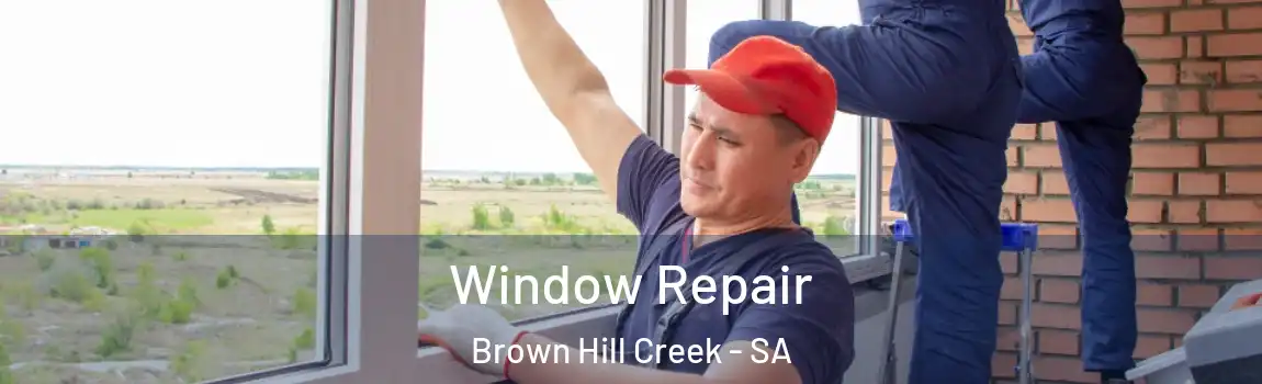Window Repair Brown Hill Creek - SA