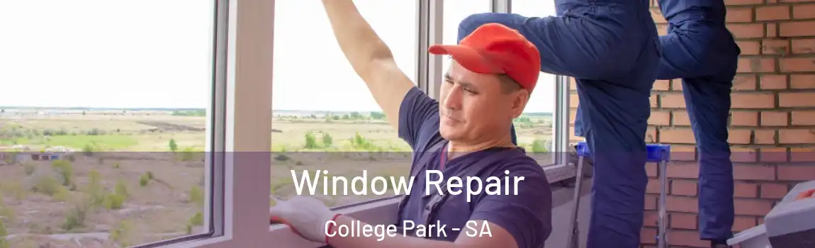 Window Repair College Park - SA