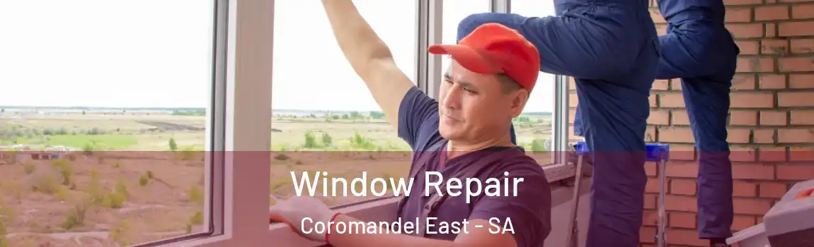 Window Repair Coromandel East - SA